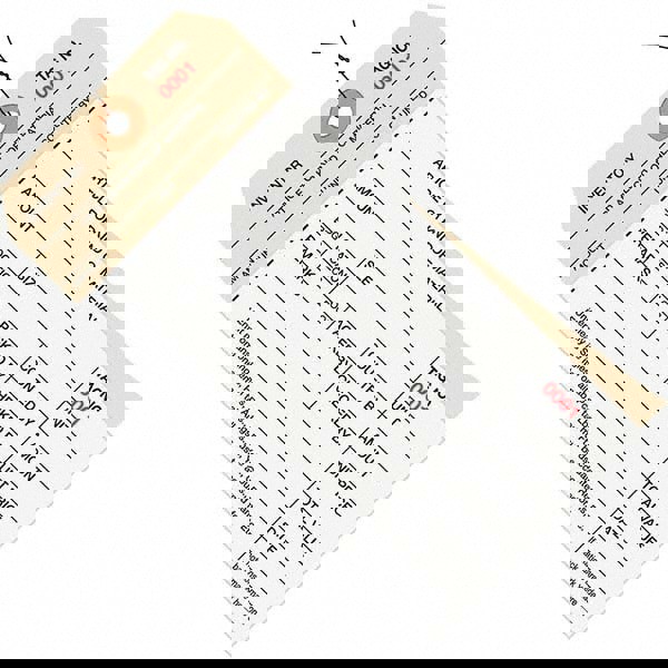 Blank Tag: 6-1/4'' High, Manila & White, Synthetic Paper